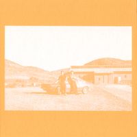 The Frenzied Bricks - The Frenzied Bricks
