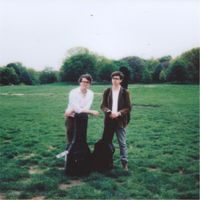 The Other Favorites - Fools