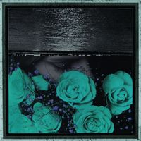 Jessica Bailiff - At the Down-Turned Jagged Rim of the Sky