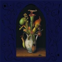 John Zorn - Perchance to Dream...