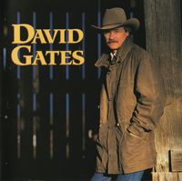 David Gates - Love Is Always Seventeen