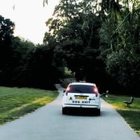 Dog Unit - Turn Right and Right Again