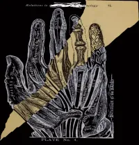 Tatsuya Yoshida & Risa Takeda - Plate No.4