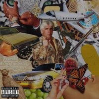 Mickey Diamond - Flair 4 The Gold