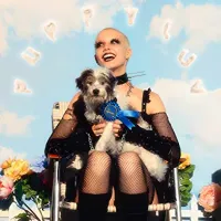 chloe moriondo - puppy luv