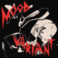 Hiatus Kaiyote - Mood Variant