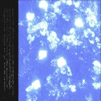 Trh&auml; - t​&aacute;​lcunnana d​&euml;​hajma tun dejl b​&euml;​nats&euml; abcul​&rsquo;​han dlhenic &euml;lh inagat, jahadlh&euml; adrhasha indauzgl​&euml;​n nu dlhevusao ibajngra nava l​&iacute;​eshtamhan &euml;f novejhan conetc dan​&euml;​ctc qin, &euml;f tu dlhicad​&euml;​trh​&euml;​nna b&euml; ablhundrhaba judjenan alh​&euml;​tangra