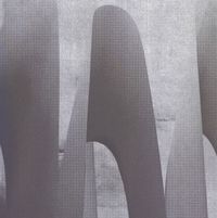 Antoine L&auml;ng - Idiophasies - Certains gestes semblent devoir se r&eacute;p&eacute;ter pour mieux m'&eacute;chapper