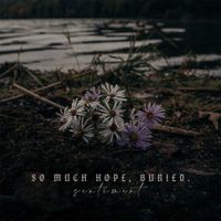 So Much Hope, Buried. - Sentiment