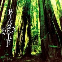 Bigelf - Hex