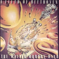 The Walter Murphy Band - A Fifth of Beethoven