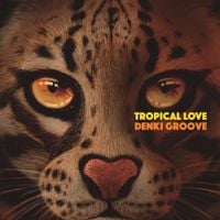電気グルーヴ [Denki Groove] - Tropical Love