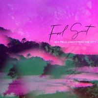 Fool Saint - In a Field, Far Away from the City