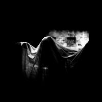 Monodrone - metempsychosis