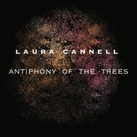 Laura Cannell - Antiphony of the Trees