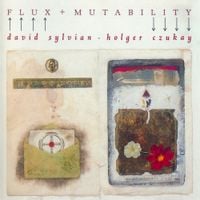 David Sylvian & Holger Czukay - Flux + Mutability