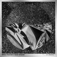William Basinski & Janek Schaefer - &ldquo; . . . on reflection "