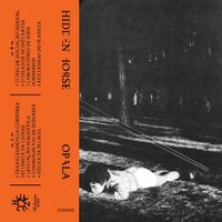 Hidden Horse - Opala