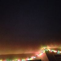 POLO PERKS <3 <3 <3 - GNARR PRESENTS : LOADING...