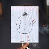 POLO PERKS <3 <3 <3 - FINESSIN DEPRESSION (ISMFOF CHRONICLES)
