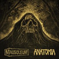 Anatomia - Split