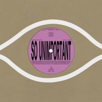 Ethan Gruska & Bon Iver - So Unimportant