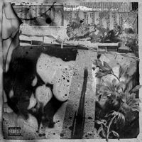 J. Arrr & Ayo Shamir - A Shadow In The Shade Too