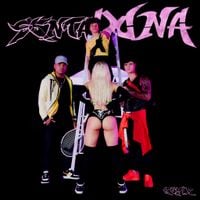 Davi Kneip, Mc Frog, Dj Gabriel Do Borel & Lu&iacute;sa Sonza - sentaDONA (Remix) s2
