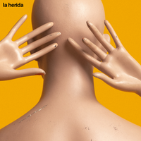 Jos&eacute; Madero - La Herida