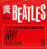 The Beatles - Cry for a Shadow