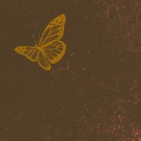 Matthew O'Callaghan - Butterfly
