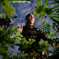 Vendredi Sur Mer - M&eacute;tamorphose