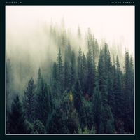 Hiroco.M - In The Forest