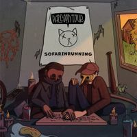 Raccoon Tour - Sofarinrunning