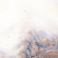 VilloVilduVeta - Nikita