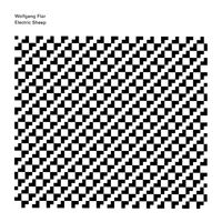 Wolfgang Fl&uuml;r - Electric Sheep