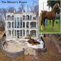 The Memer - The Memer's House pt 1