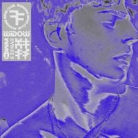 Working Men's Club - Widow