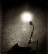 Abyssal - Denouement