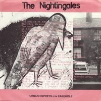 Nightingales - Urban Ospreys