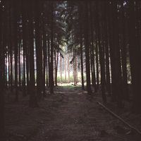 Various Artists - Spire: Organ Works Past Present and Future