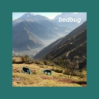 bedbug - Bedbug