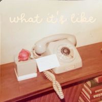 Together Pangea - What It's Like