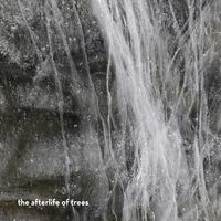 Biliana Voutchkova, Ernesto Rodrigues, Guilherme Rodrigues & Magda Mayas - The Afterlife of Trees