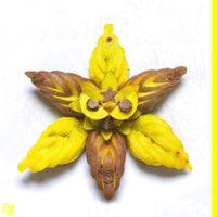 SEBii - VVYELLOW