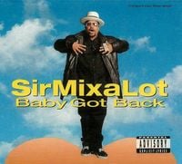 Sir Mix-a-Lot - Baby Got Back