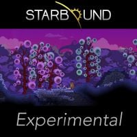 Curtis Schweitzer - Starbound Experimental