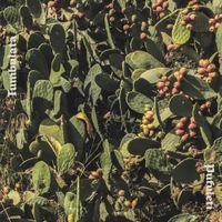 Pufuleti - Tumbulata