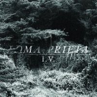 Loma Prieta - I.V.