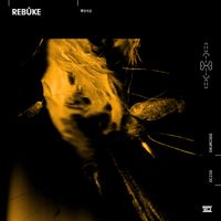 Rebūke - Wasp